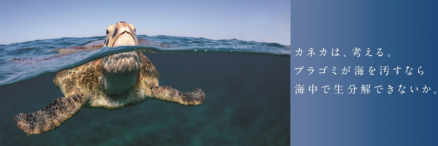 可生物降解性生物聚合物Green Planet®的介绍卡内卡，考虑。如果塑料垃圾污染了大海，就不能在海里生物分解吗。