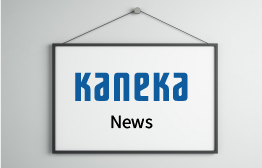 Social Bond Reporting