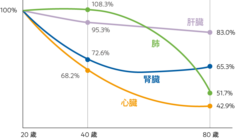 体内各器官でのコエンザイムQ10の減少