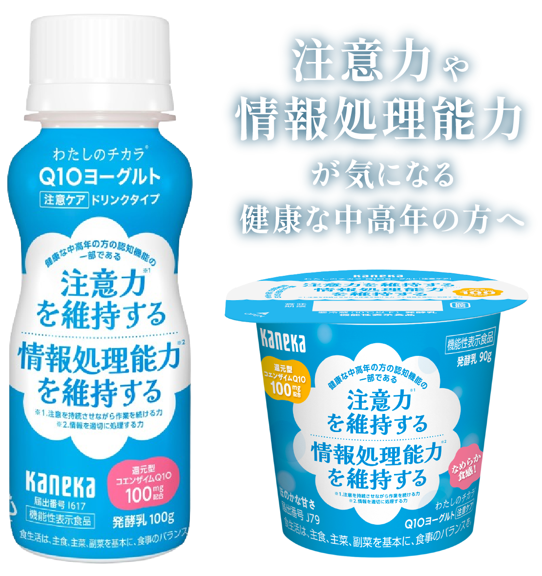 注意力や情報処理能力が気になる健康な中高年の方へ